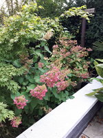 20230929_171918.jpg