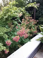 20230929_171918.webp