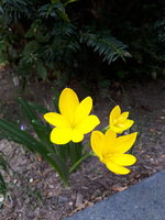 20231003_114106.jpg