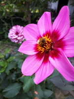 20230930_141328.jpg