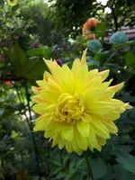 20231002_131044.webp