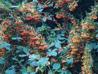 IMG_20231003_150026.jpg
