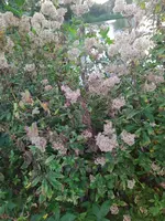 IMG_20231003_151959.webp