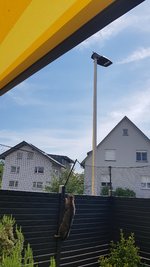 20190609_112726.jpg
