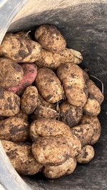 IMG_8336.jpeg
