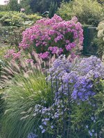 IMG_9011.jpeg