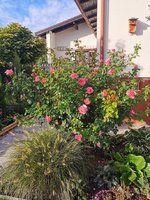 IMG_20230922_080749 (1).jpg