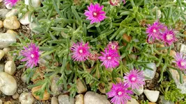 IMG_20180612_103026115.webp