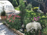 IMG_20230704_101452.jpg