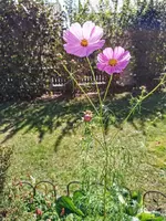 IMG_20230928_121242.webp