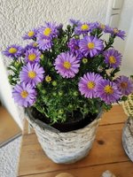 IMG_20230928_085101.jpg