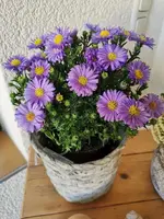 IMG_20230928_085101.webp