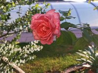 IMG_20230928_081203.jpg