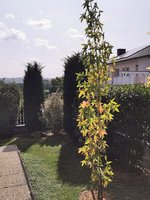 IMG_20230930_120503.jpg