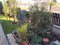 IMG_20230928_085322.jpg