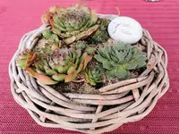 IMG_20231004_073614.webp