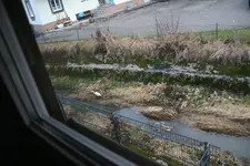 Silberreier 1321.webp