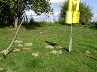 DSC03179.JPG