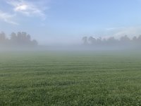 IMG_0044.jpeg