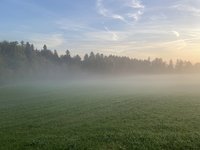 IMG_0042.jpeg