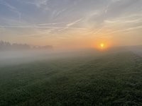 IMG_0041.jpeg