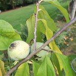 IMG_20231006_183200.jpg