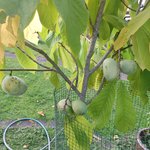 IMG_20231006_183207.jpg