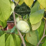 IMG_20231006_183148.webp
