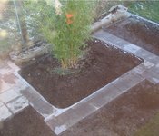 Vivaxbeet 08022022.jpg