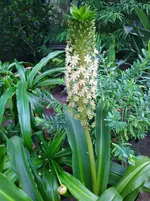 IMG_20230829_132314.webp