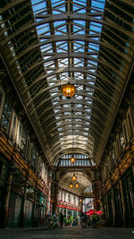 IMG_9633.jpeg