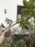 2023-10-07_14-49-55_IMG_9274.webp 2023-10-07_14-49-55_IMG_9274.webp