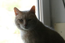 April0420.JPG