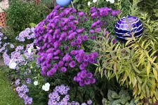 Ok     t.2523.webp