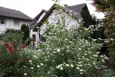 Ok     t.2923.webp