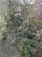 IMG_2803.webp