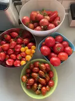 IMG_2815.jpeg
