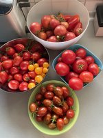 IMG_2815.jpeg
