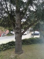 IMG_20231009_094910.jpg