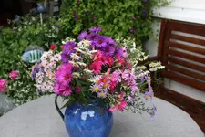 Blumenstrauß1023.webp