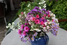 Blumenstrauß0723.webp