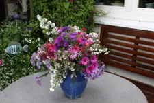 Blumenstrauß0823.webp