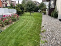 IMG_0112.jpeg