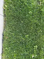 IMG_5111.webp