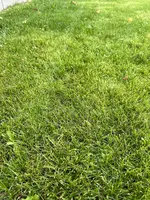 IMG_5110.webp