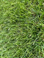 IMG_5109.webp