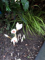 20231010_112821.jpg