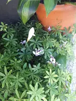 20231008_113015.webp