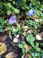 20231010_113917.webp