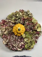 IMG_2842.webp IMG_2842.webp